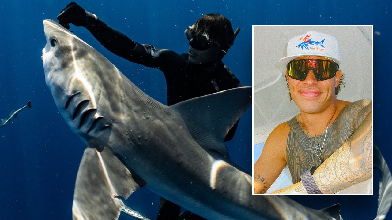 President Trump issues pardon for Florida diver who freed sharks