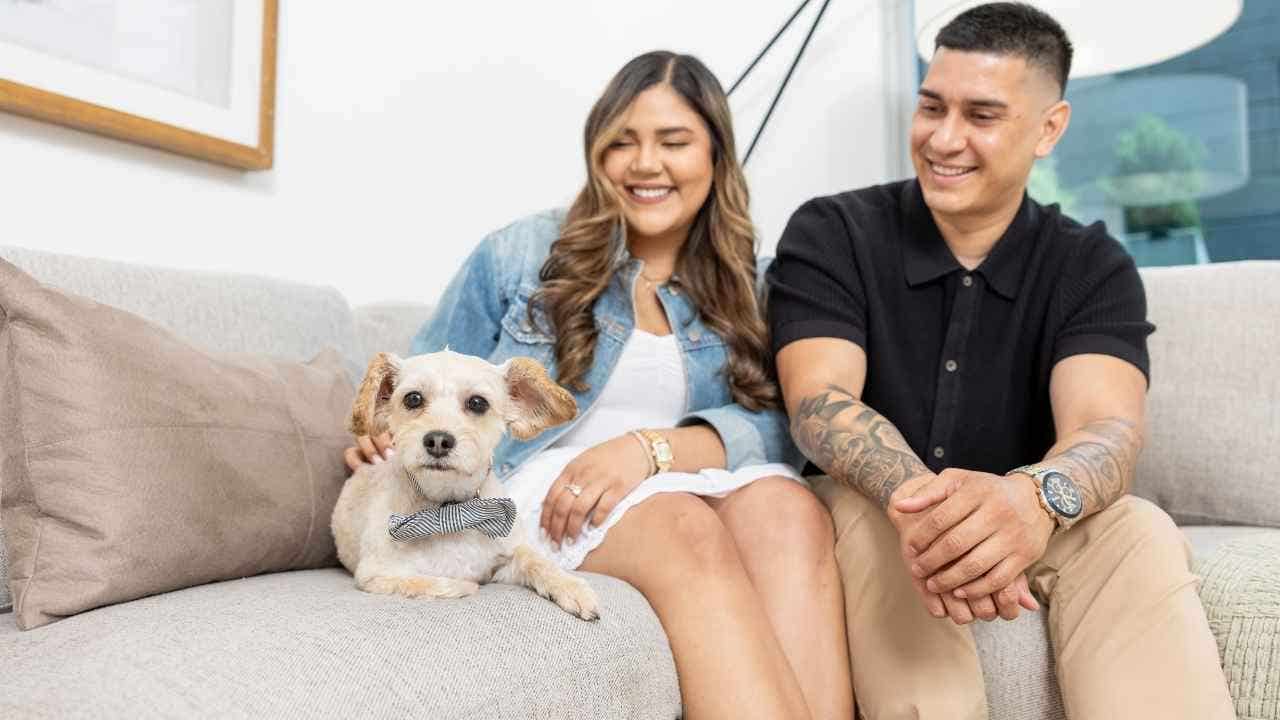 Fourth of July fireworks cause 60% spike in lost dogs, how to keep your pet safe
