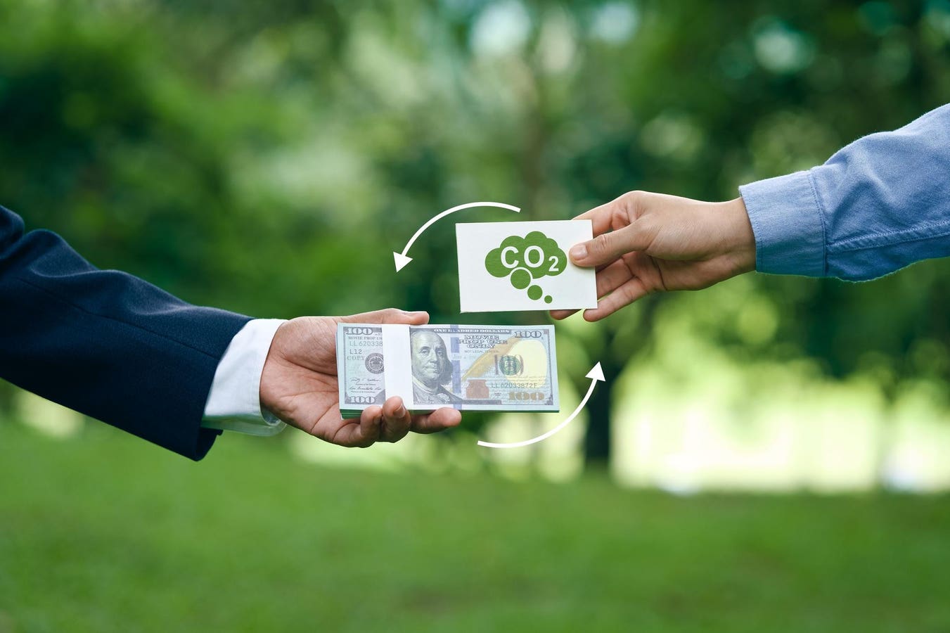 Carbon Credits What They Are, Who’s Buying, And Why You Should Care