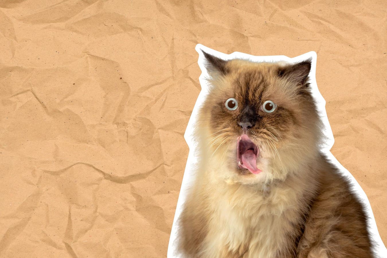 2 Reasons Why Memes Are More Important Than We Think, By A Psychologist