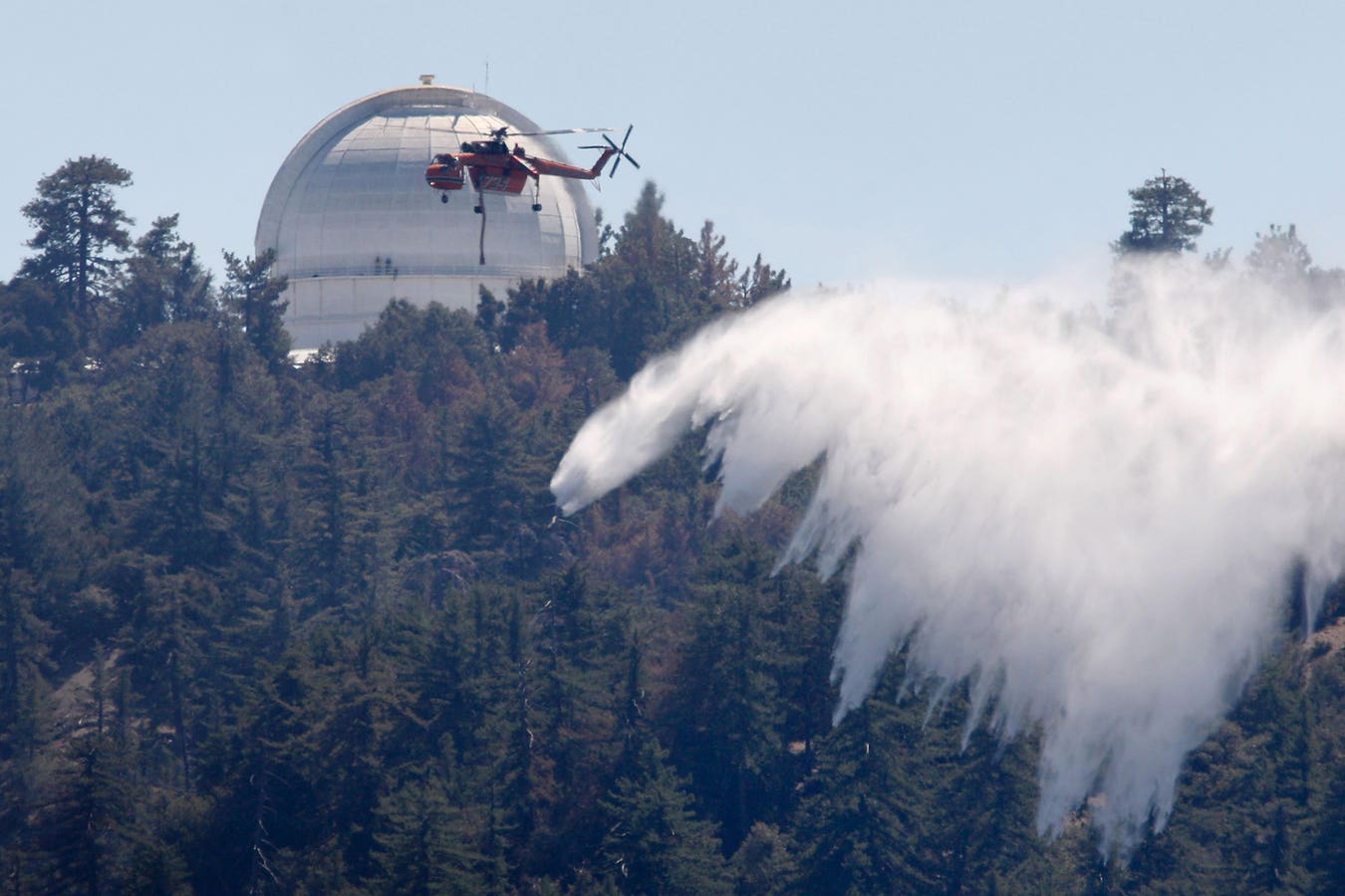 Boards Can No Longer Ignore Nature Risk. Here’s How To Govern It