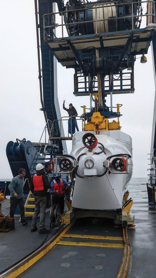 ‘Intraterrestrials’ In Earth’s Deep Subsurface Defy Life As We Know It