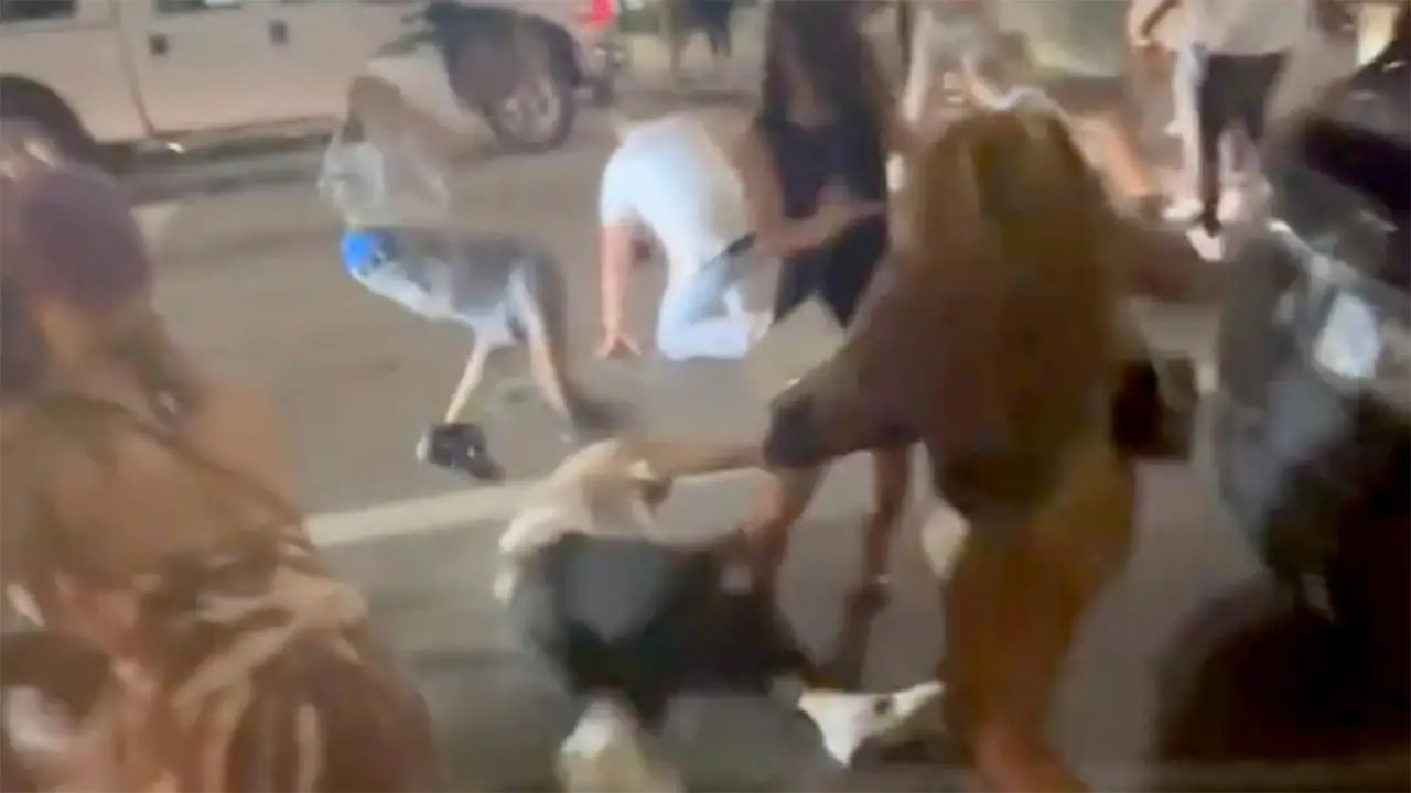 Suspect in Cincinnati brwal arrested, charged with aggravated riot, assault
