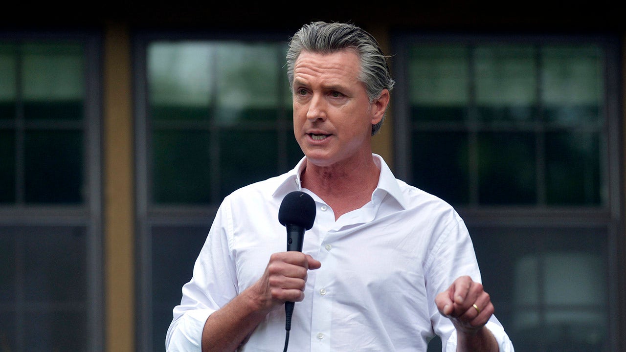 Former SC Democratic chair doubts Newsom can appeal to blue-collar voters