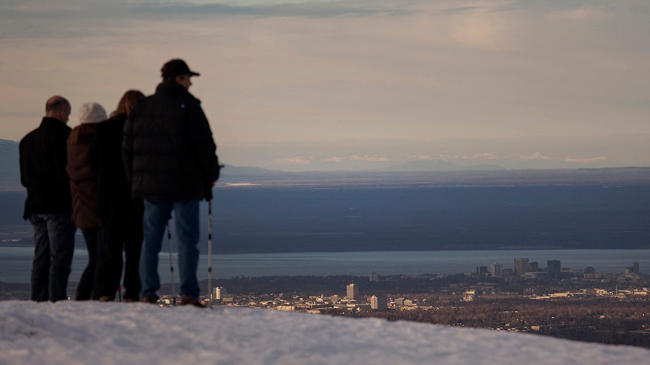Bear mauls hiker in Anchorage, drone helps emergency responders locate her