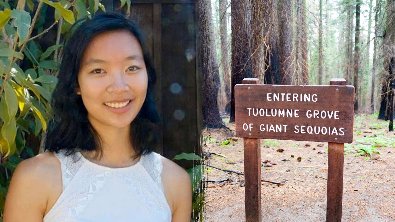 Hiker killed by falling tree branch on popular Yosemite National Park trail