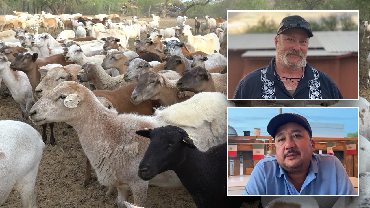 Hispanic workers fear tougher immigration rules, Arizona farmer says