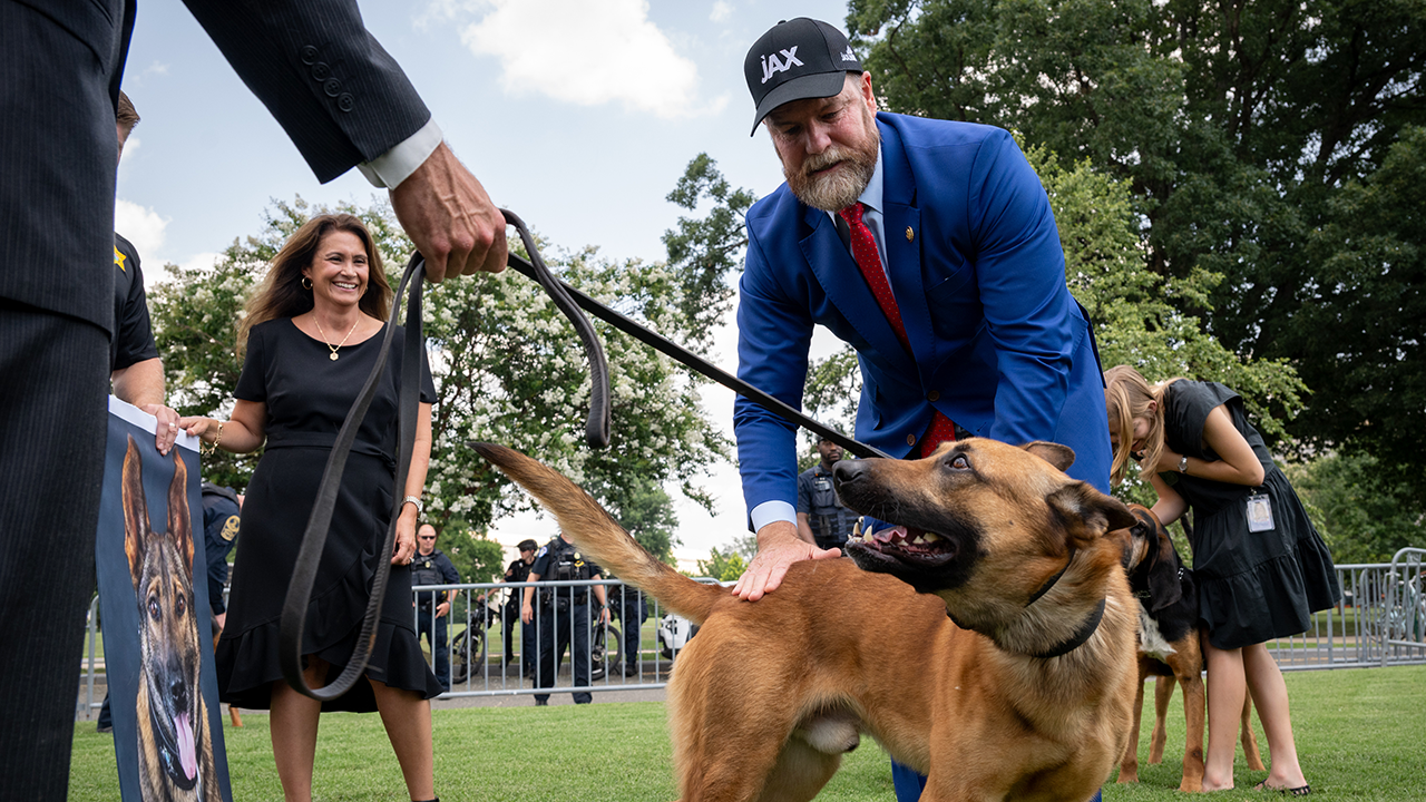 New bill would strengthen penalties for attacks on police K9s and horses