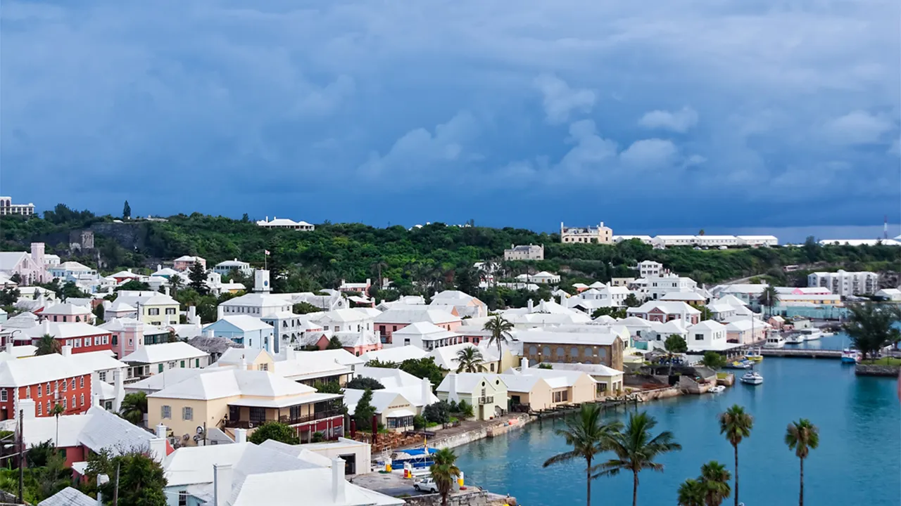 Four cruise ship passengers arrested with elephant tranquilizer in Bermuda: Police