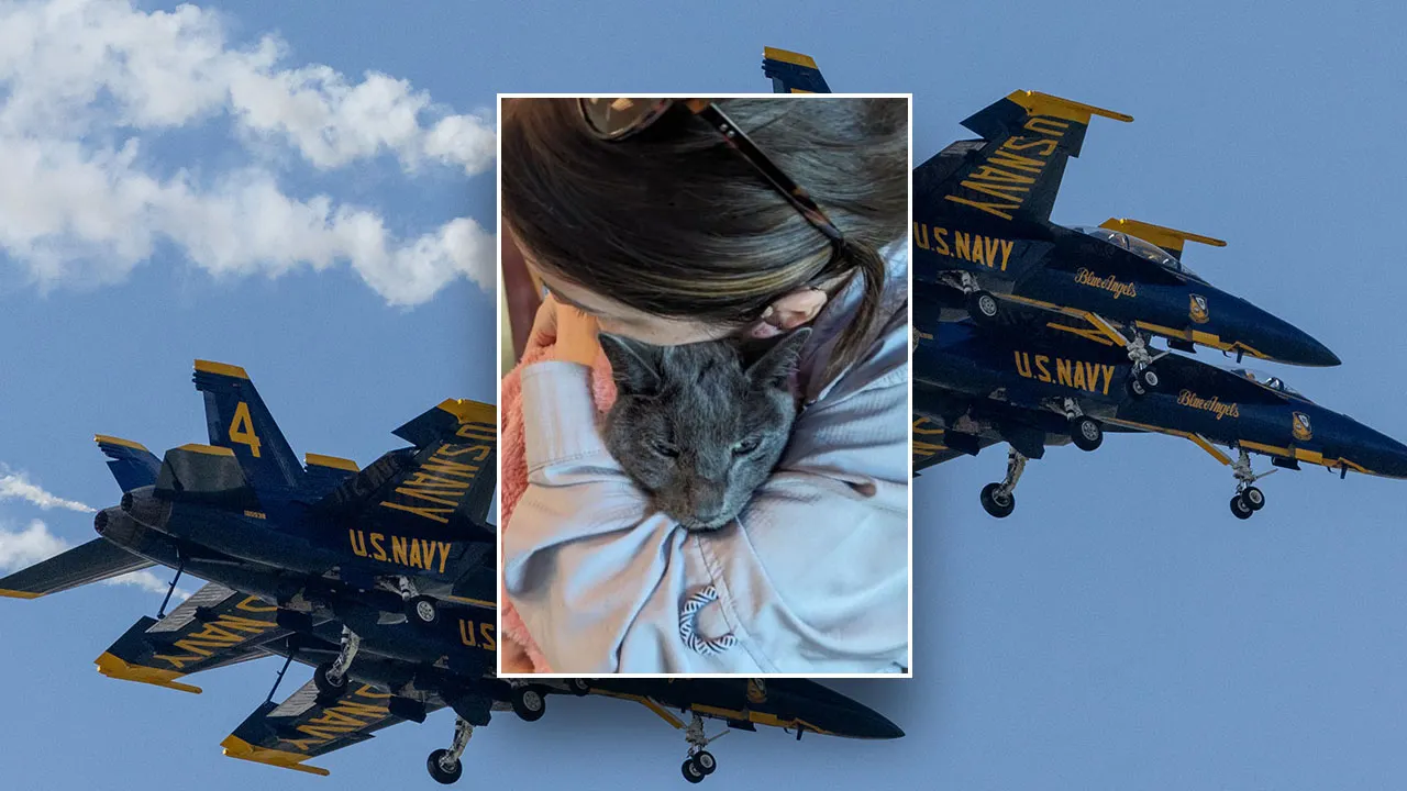 Woman sues Blue Angels after Instagram block over noise complaints for cat