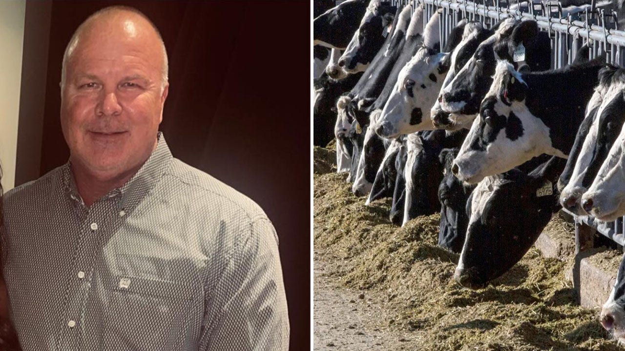 Banks sued over $100 million ‘ghost cattle’ Ponzi scheme fraud case