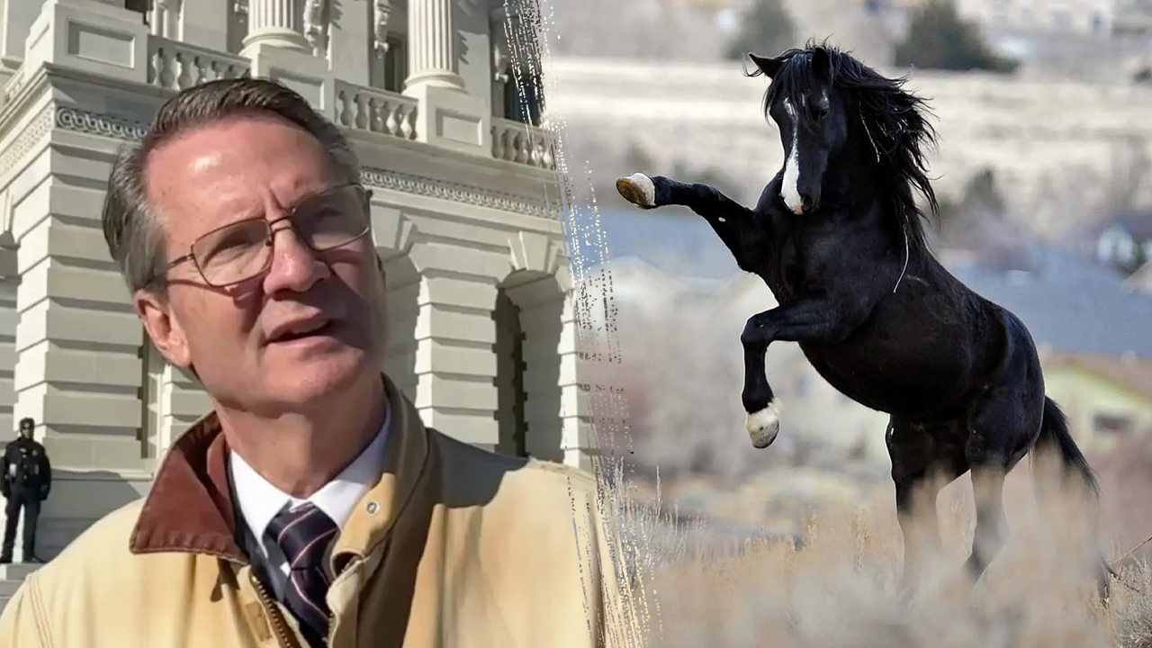 Tennessee Congressman Tim Burchett ‘lucky’ after horse kick broke a rib: doctor