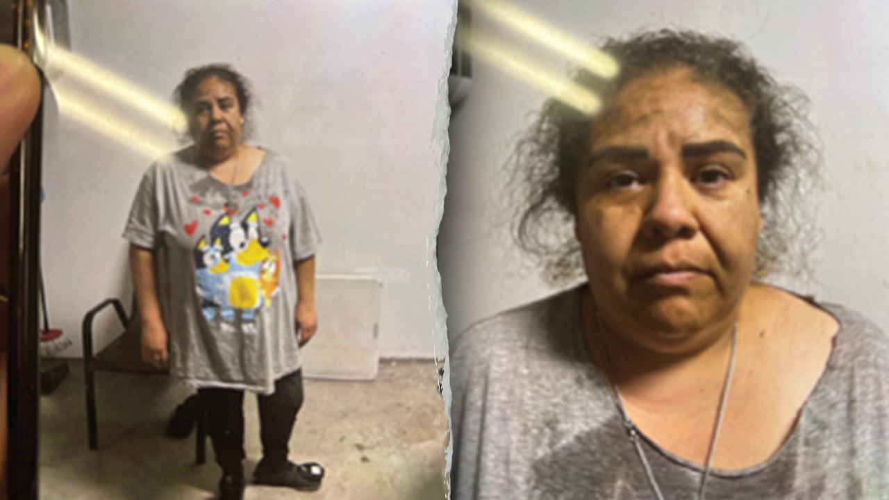 Illegal alien in federal custody faked her own ICE ‘kidnapping,’ feds say
