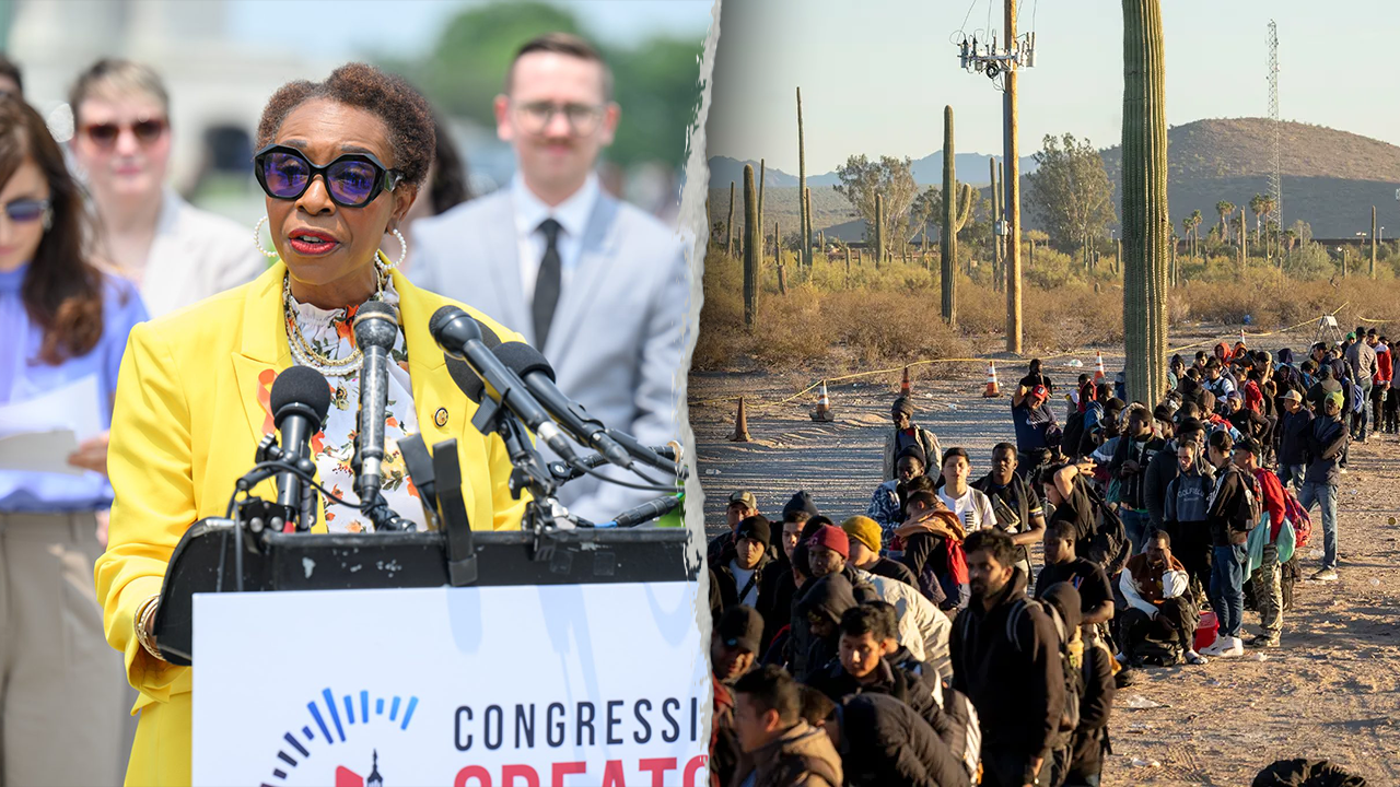 Immigrants are needed for ‘redistricting purposes,’ House Dem says in resurfaced video