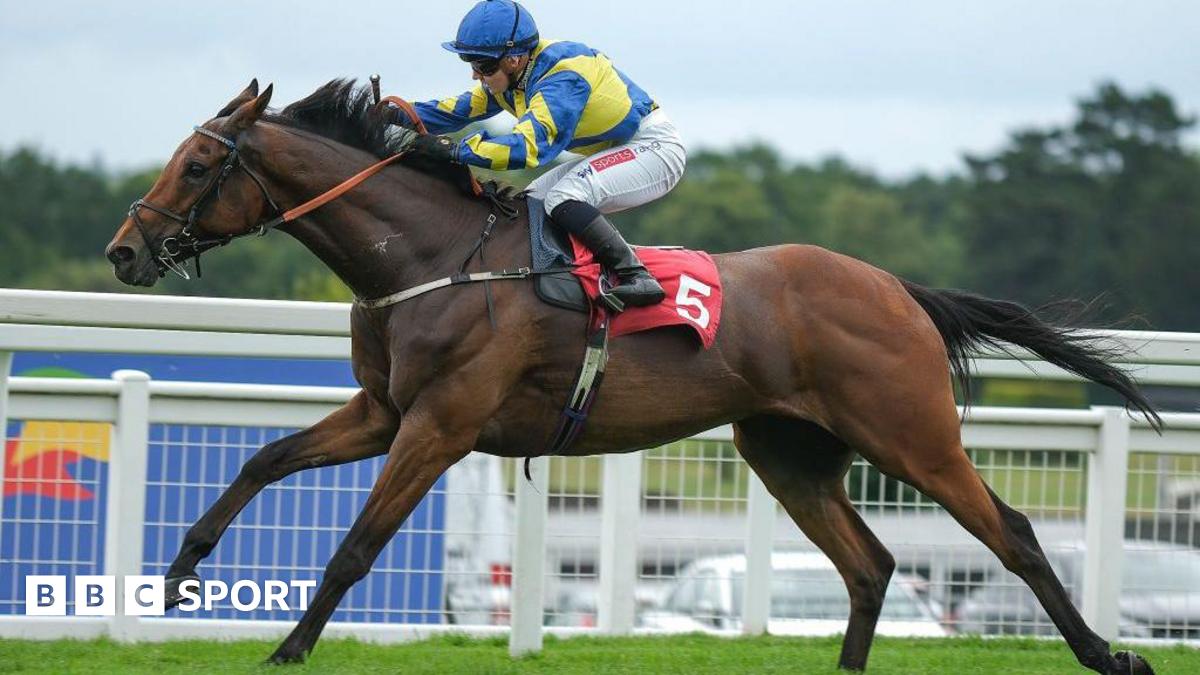 Goodwood Cup: Fatal injury to Trueshan overshadows Scandinavia’s win in Goodwood Cup