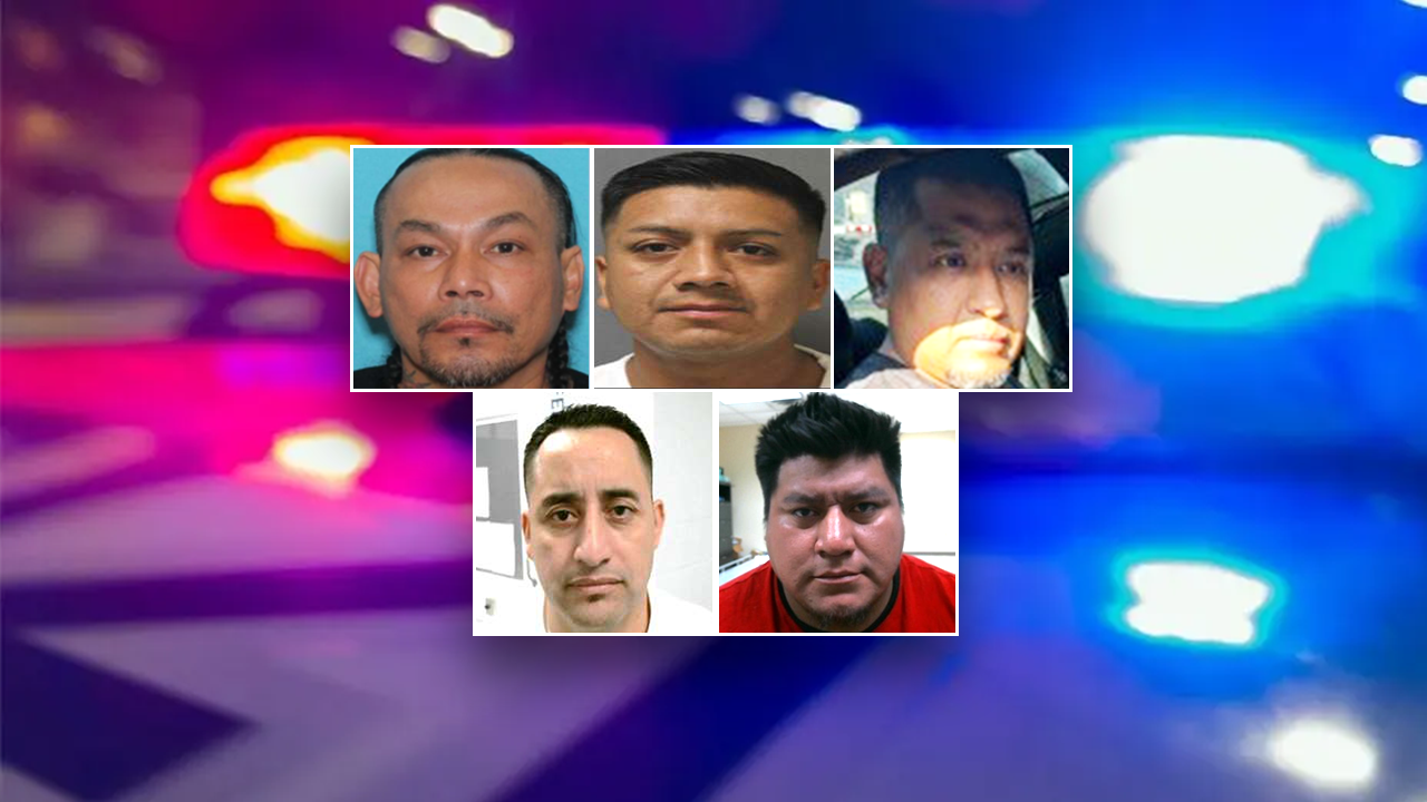 Illegal alien convicted of conspiracy to murder teen with baseball bat among latest nabbed by ICE