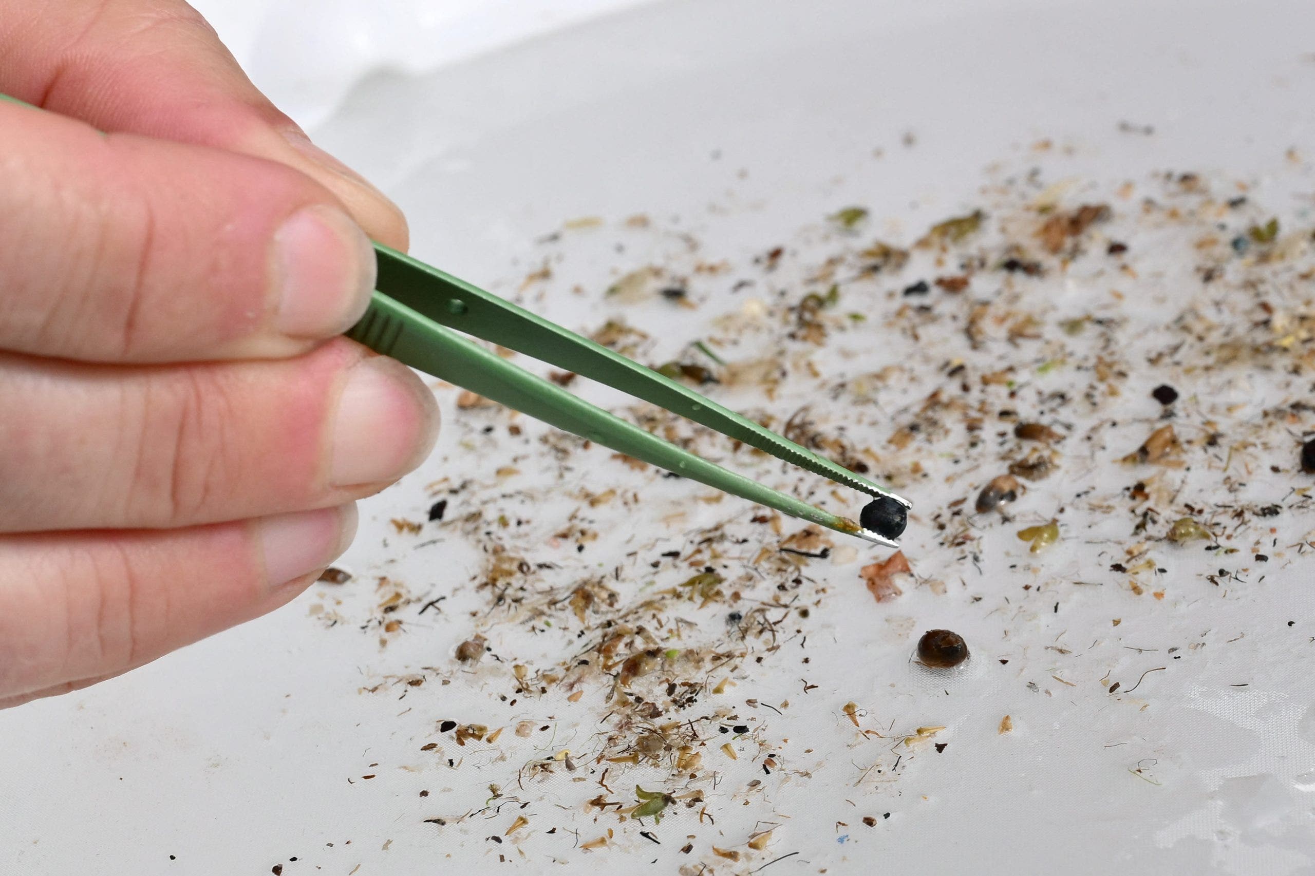 The truth behind microplastics claims and scientific standards needed