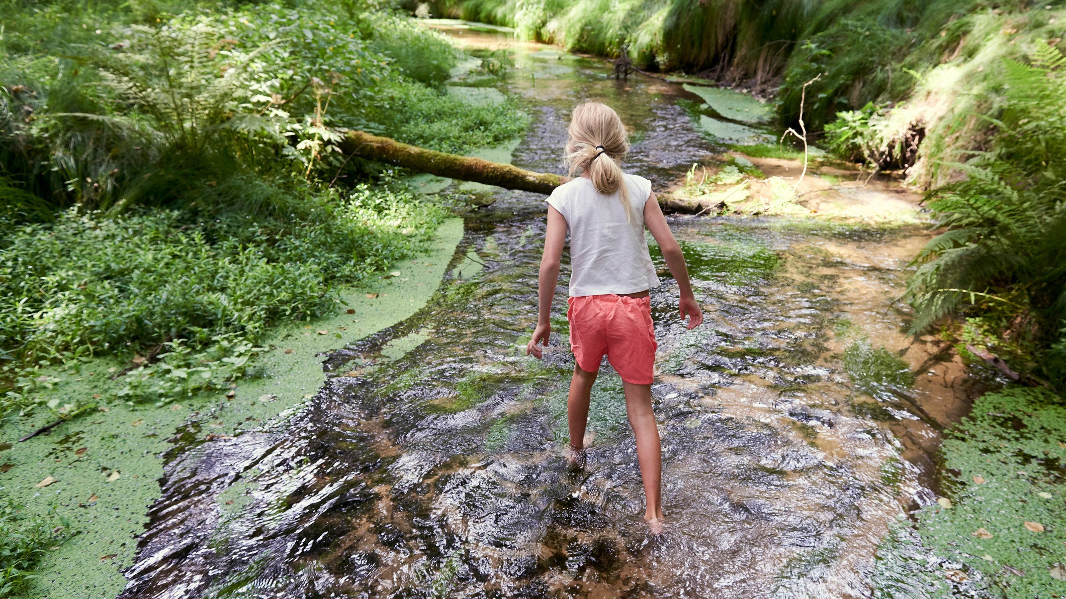 Radioactive Midwestern creek linked to higher cancer rates, study finds