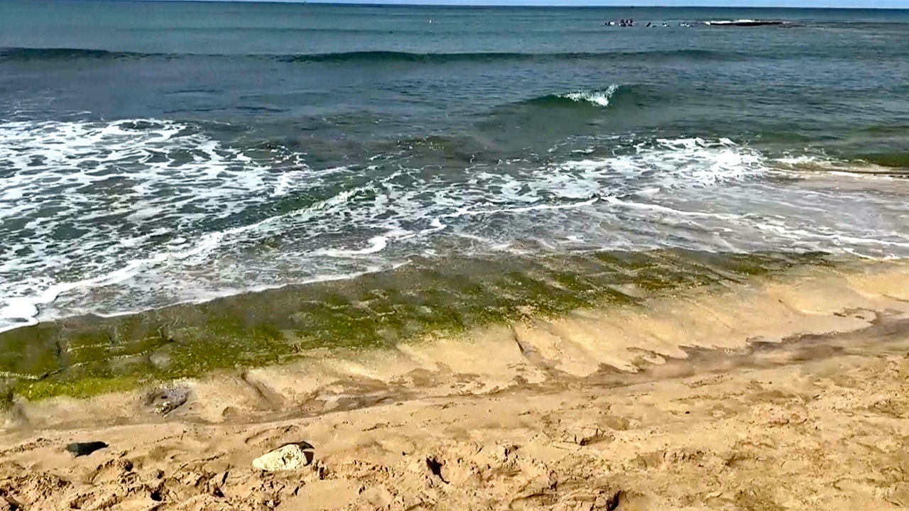 Ocean swells uncover 500-year-old petroglyphs on Oahu’s shoreline