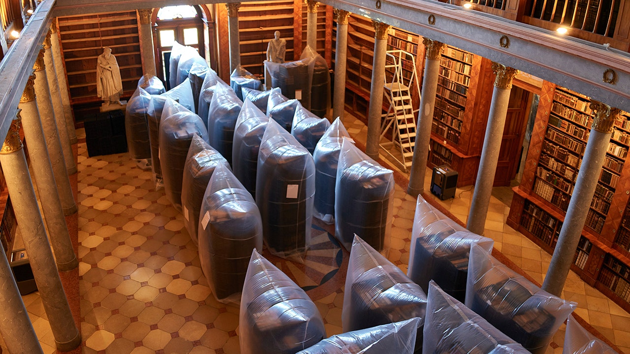 Historic books are at risk as massive beetle infestation hits Hungarian monastery