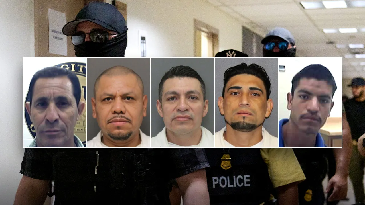 ICE arrests 214 child sex offenders in Houston area in past 6 months