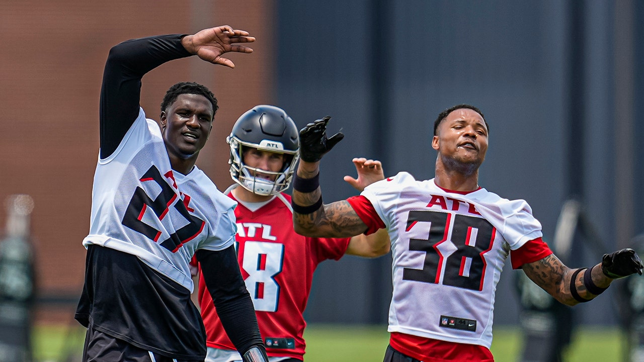 Falcons players fight during training camp practice