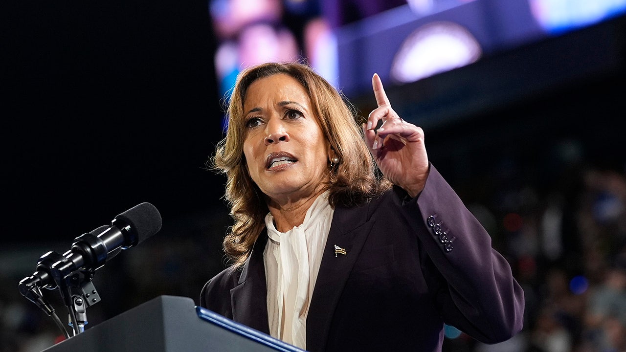‘Subway Takes’ host reveals why Harris’ ‘really bad’ interview never aired