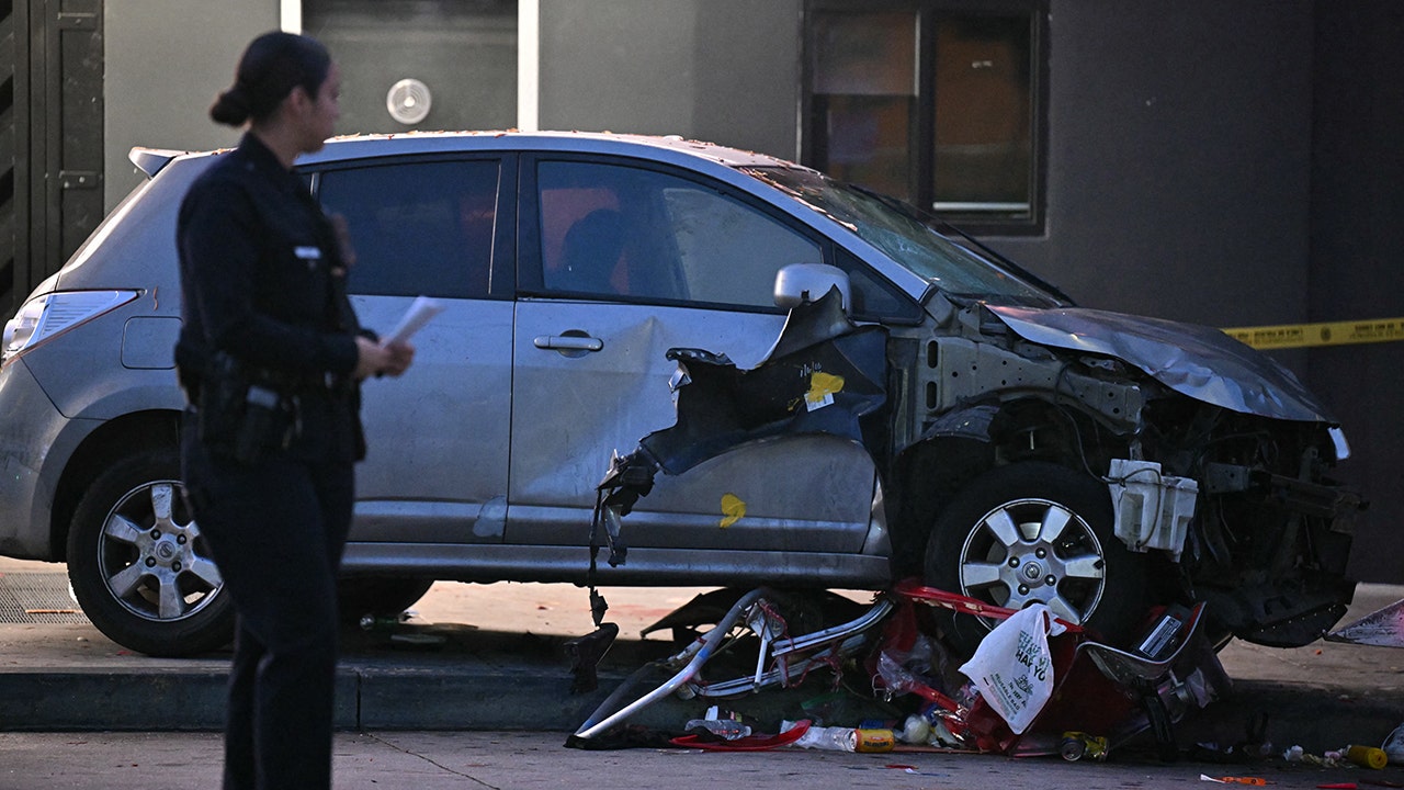 LA nightclub car-ramming suspect was convicted felon released on parole: report
