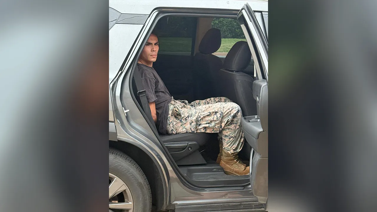 Viral truck driver faces 5 years for aiding anti-ICE demonstrations