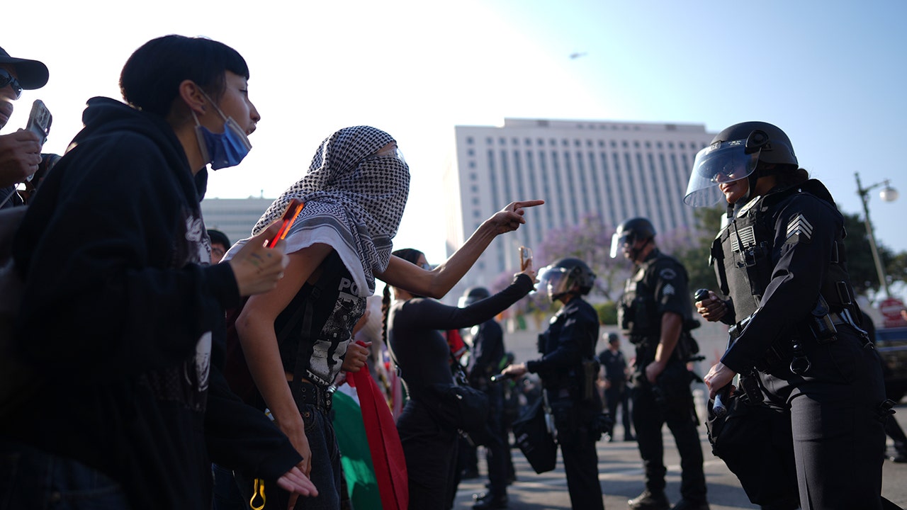 Border lawlessness fueled California riots, immigration expert warns