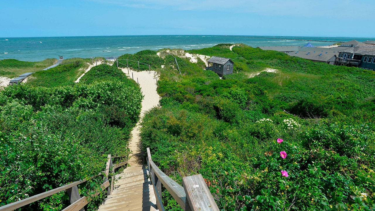 Man bitten by shark he caught on Nantucket beach
