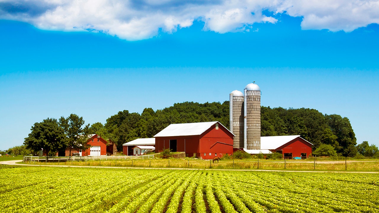 US farmland protected from foreign threats in new national security plan