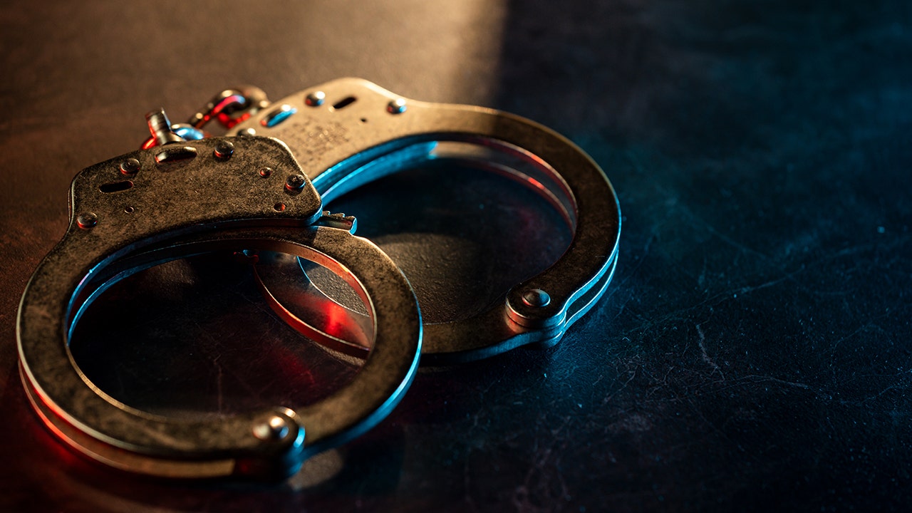 Nassau County DA candidate criticized for job ad encouraging criminals to apply