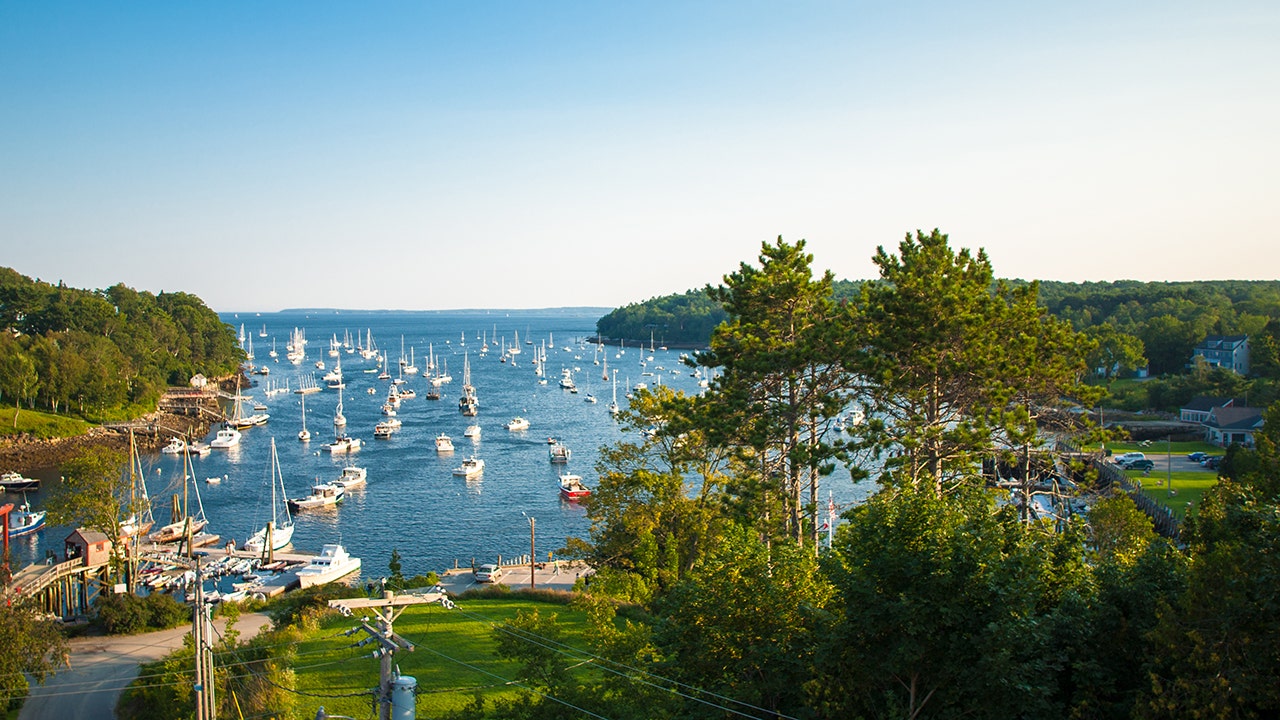 Maine paddleboarder killed at local pond, police seek public help