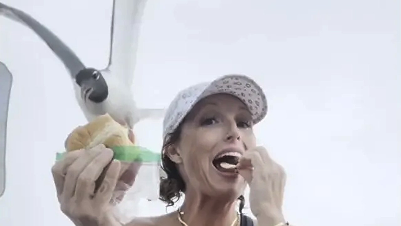 Seagull steals sandwich from woman filming herself on New Jersey beach