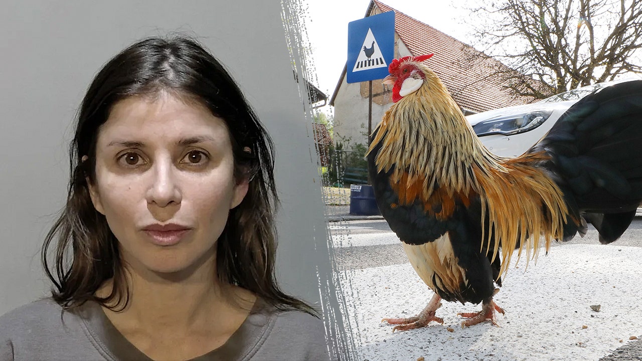 Florida woman faces felony charges after alleged bear mace attack over chicken in road