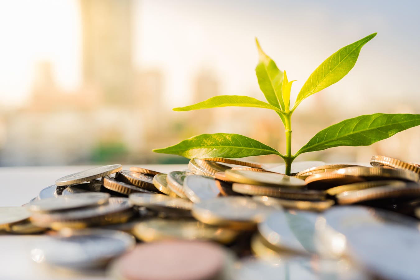Nature Credits Show the Path to Market-Driven ProSocial AI