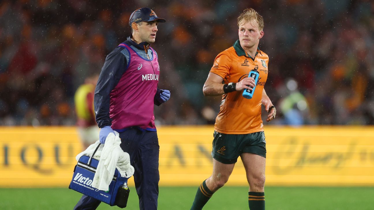 TMO in the spotlight after Dan Sheehan cited for Tom Lynagh clean-out