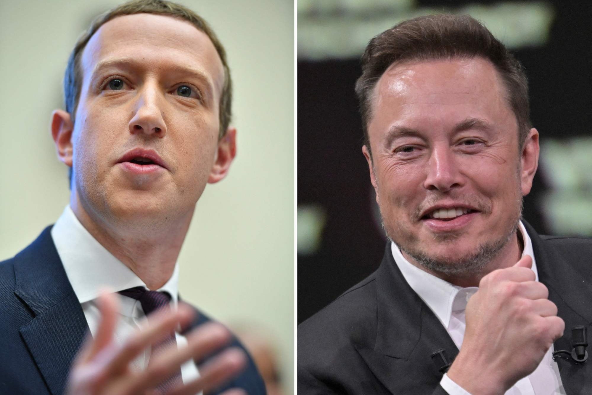 Elon Musk Asked Mark Zuckerberg to Help xAI Buy OpenAI: Reports