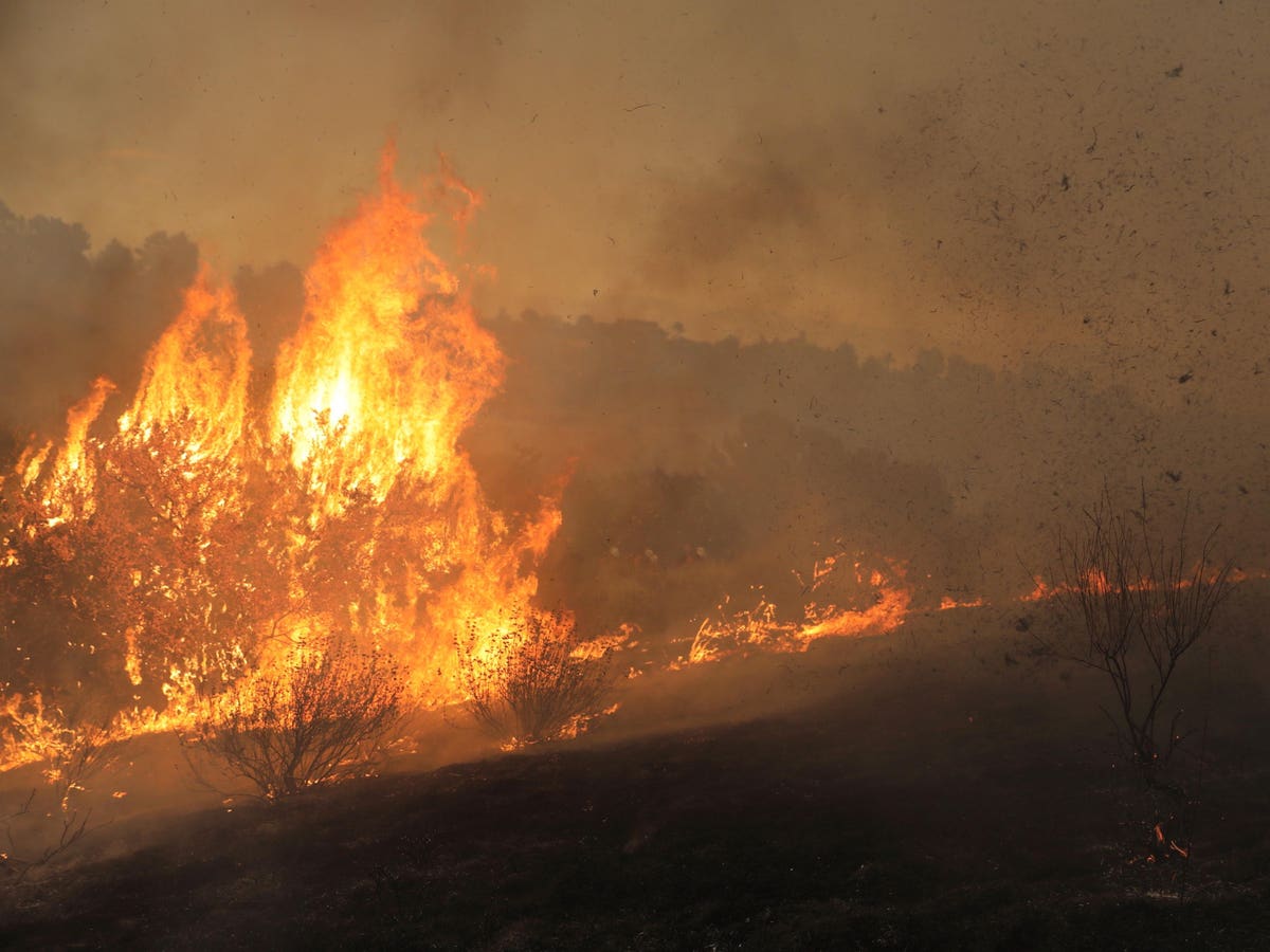 Neutralize Wildfire Threats – Before They Become Wild or Fires