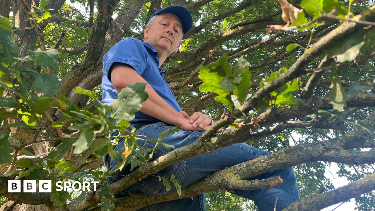 Epsom & Ewell: Surrey football fan climbs tree to watch his local team