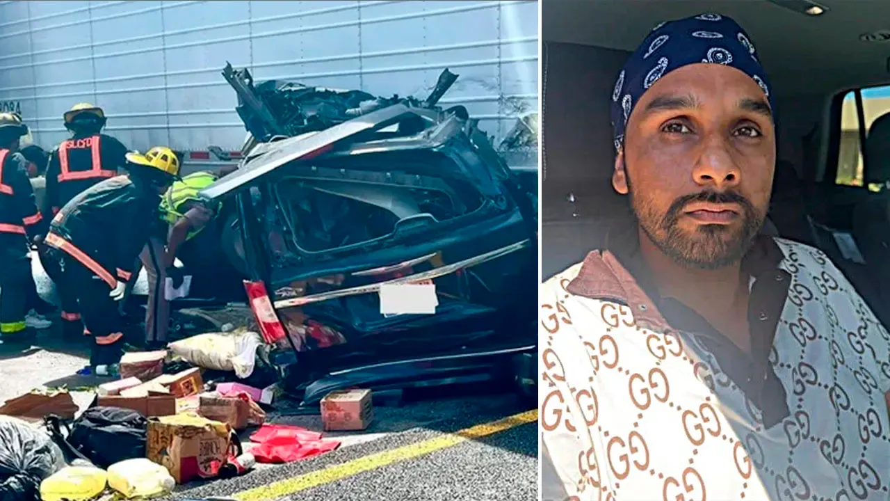 Expert reveals how illegal immigrant trucker may have gotten commercial license