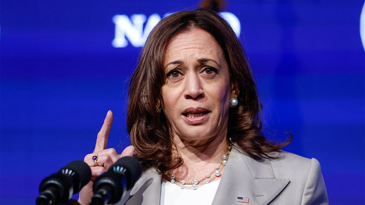 Carville says Democrats will reject anyone from failed Harris campaign