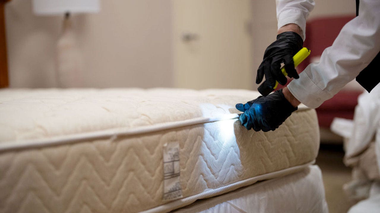 Chicago tops Orkin’s list of most bedbug-infested cities for fifth straight year