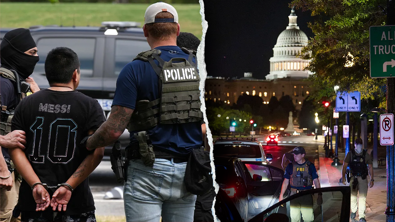 Agents tear down anti-ICE sign, say, ‘we’re taking America back’