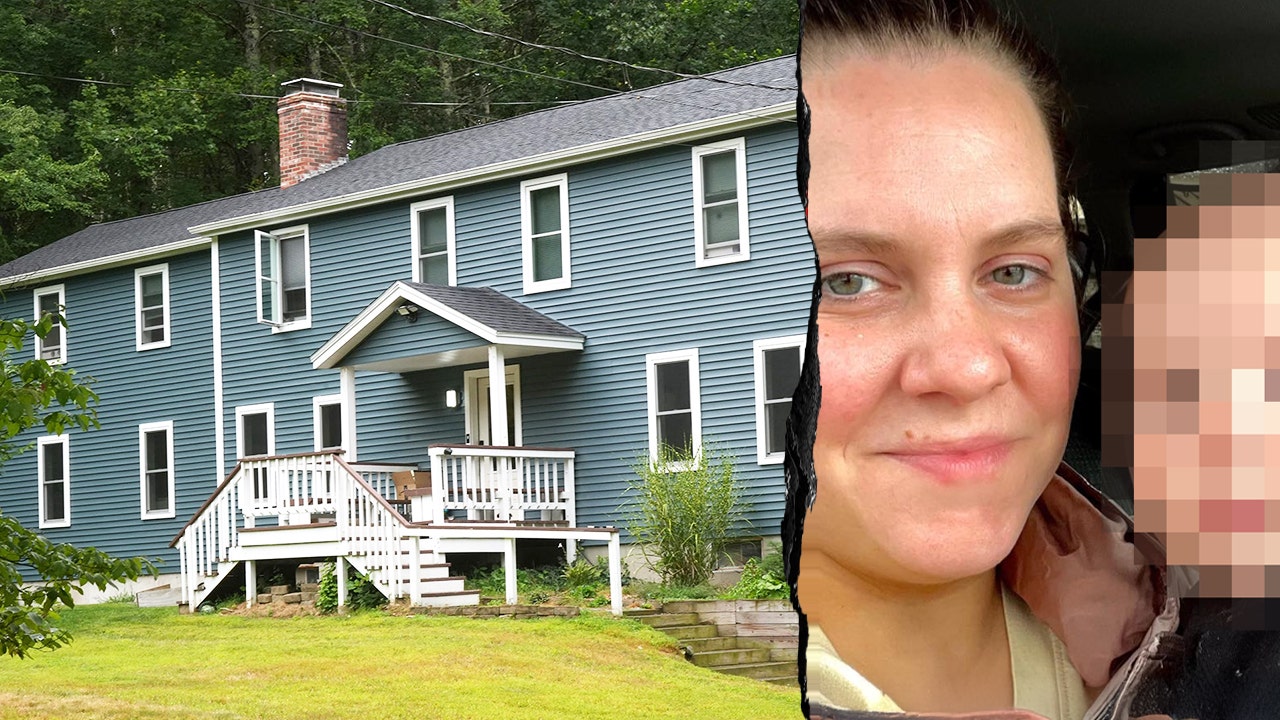‘Depressed’ New Hampshire mother Emily Long shoots family before killing herself