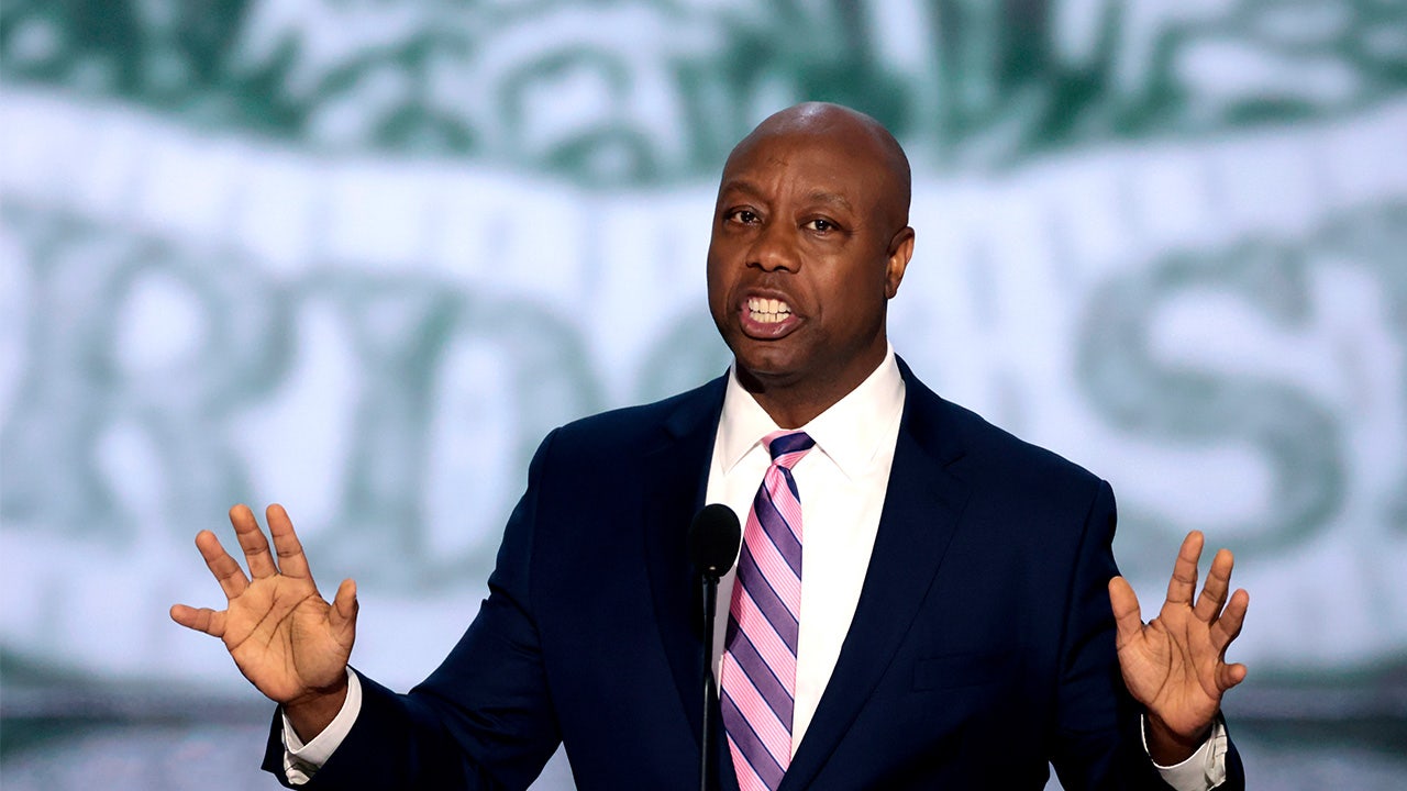 GOP targets Georgia, Michigan seats to grow Senate control under Scott