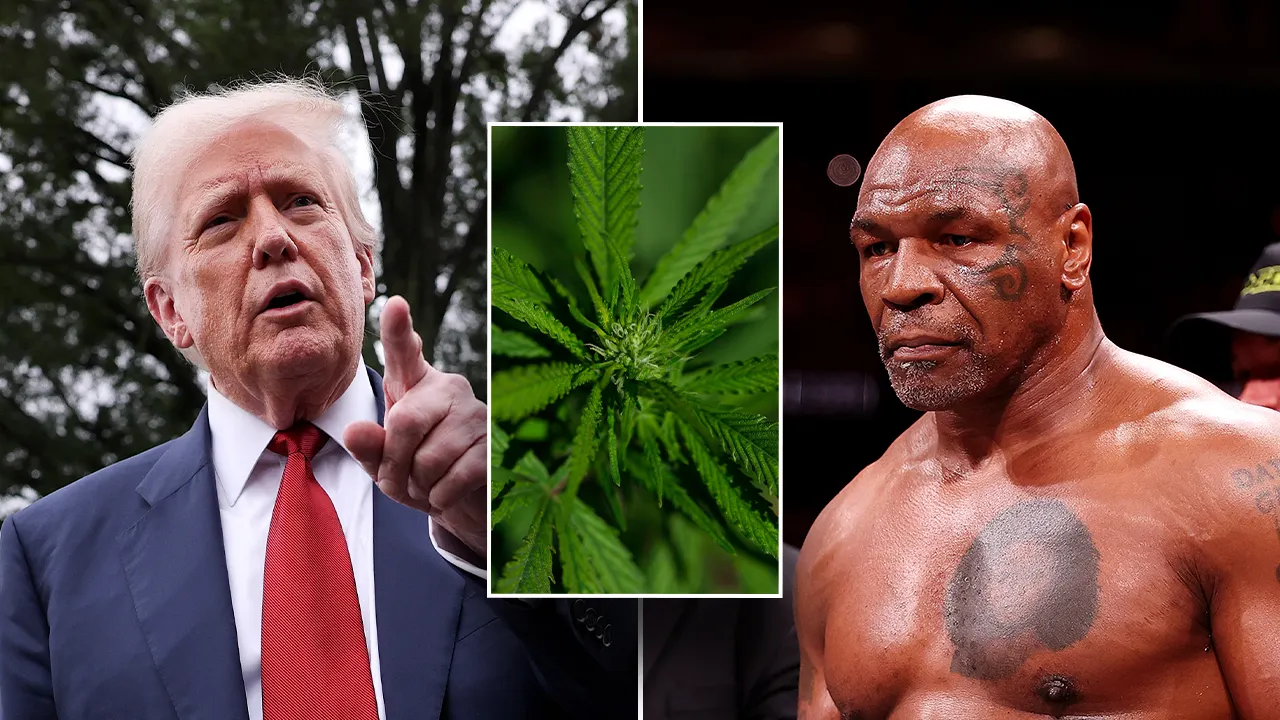 Mike Tyson suggests he will fight again if Trump reschedules marijuana