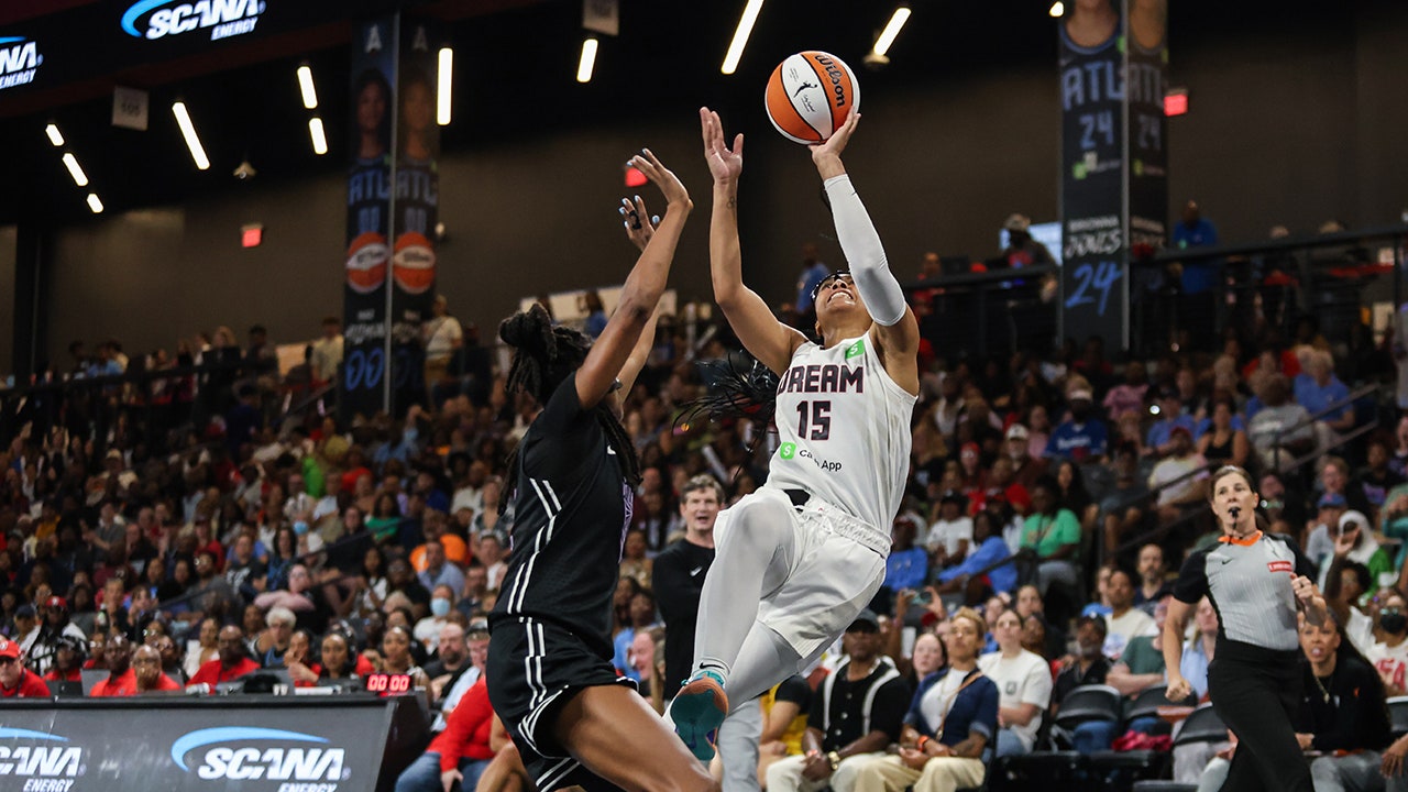 Man faces charges for allegedly throwing sex toy on WNBA court