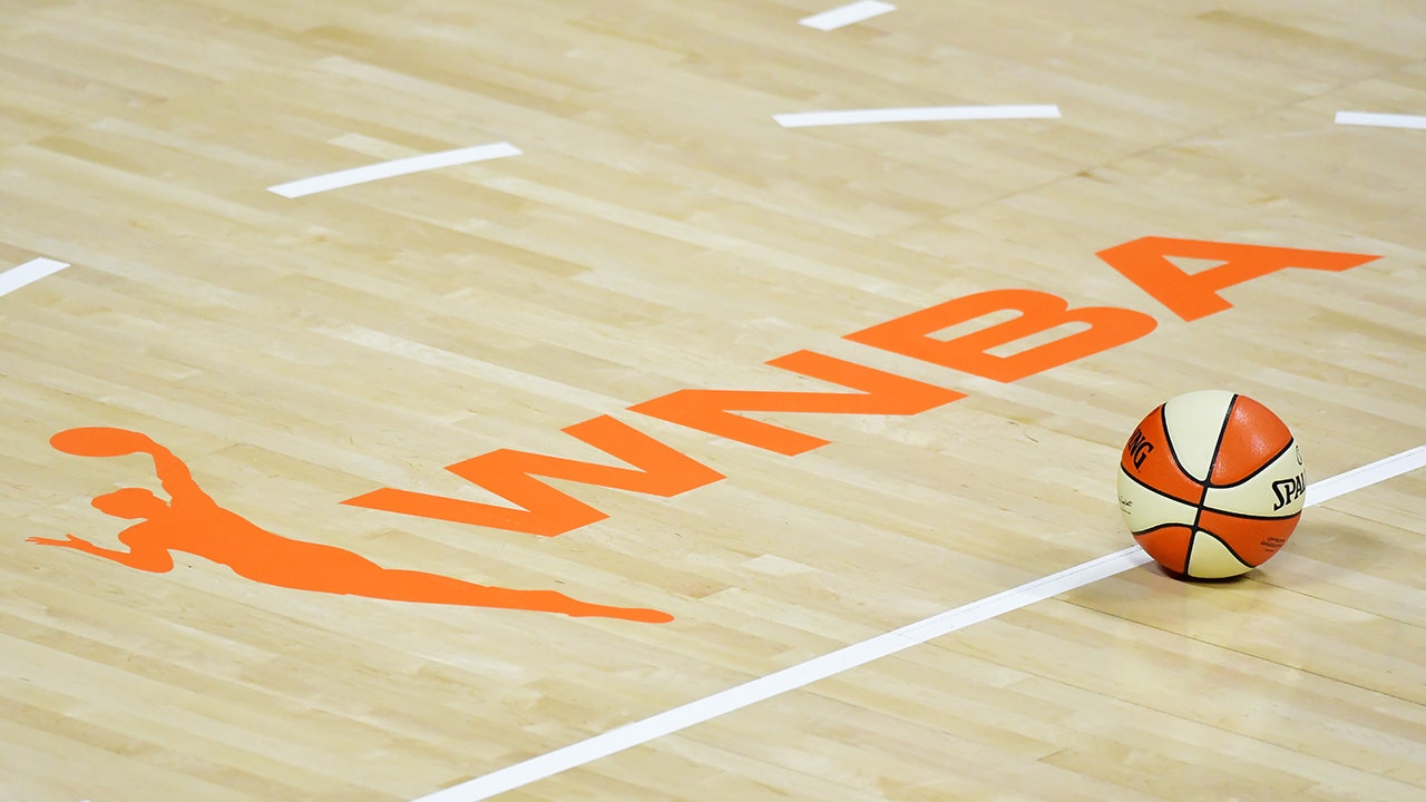 Second arrest made after sex toy thrown at WNBA game in Arizona